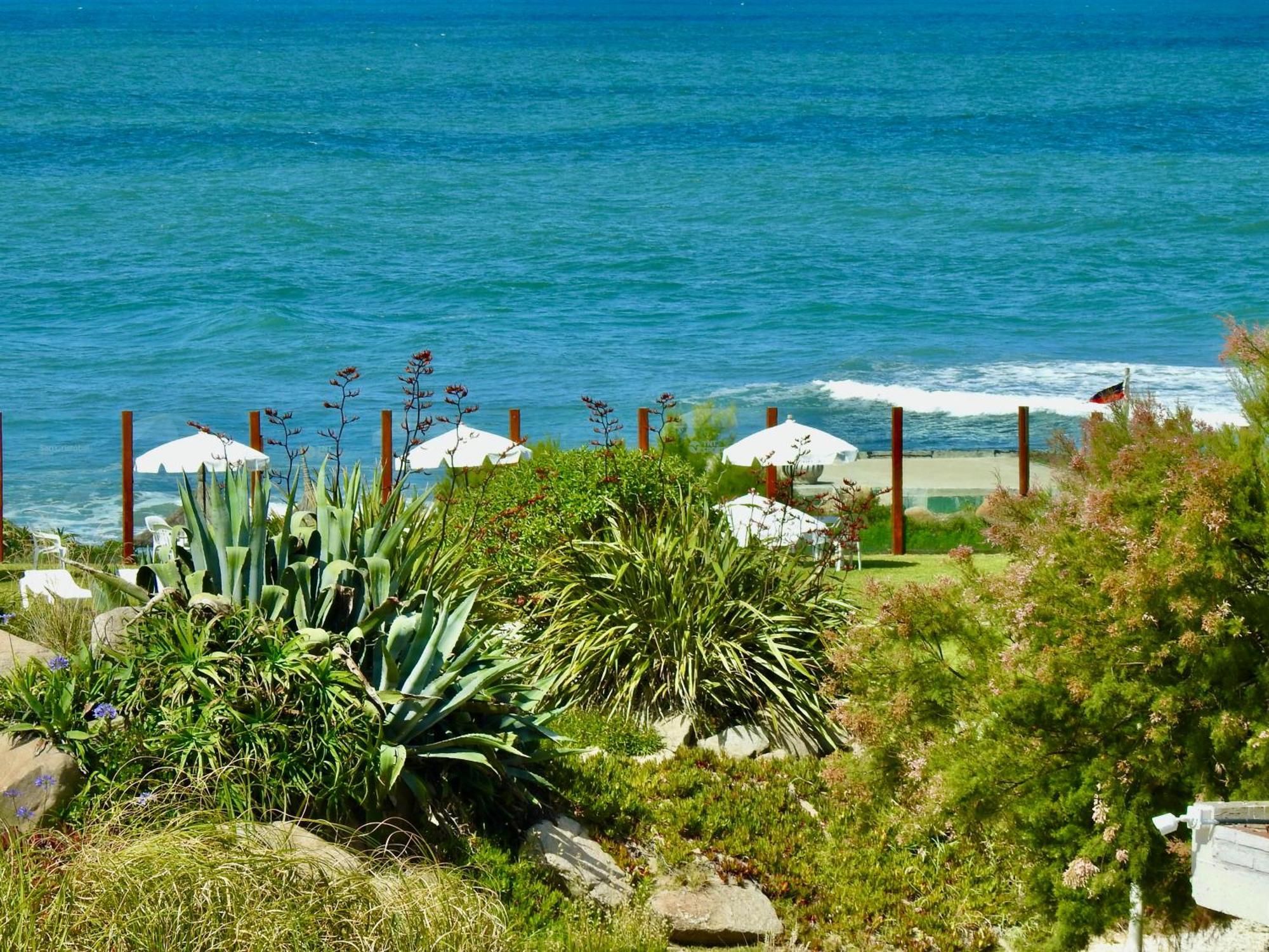 Ili Ili Hotel Boutique Mar del Plata Eksteriør billede